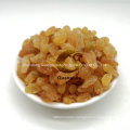 Hot Sale Golden Raisin Red Raisin Green Raisin Natural Taste